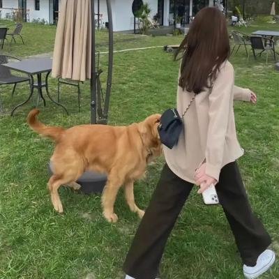 金同志飞起来